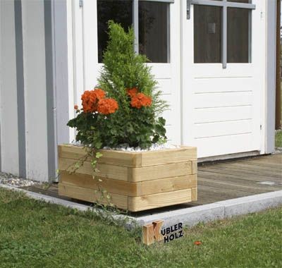 Sib.Lärchenblumenkasten 40x60 Milano