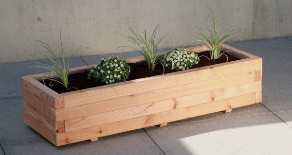 Sib.Lärchenblumenkasten 40x120 Milano