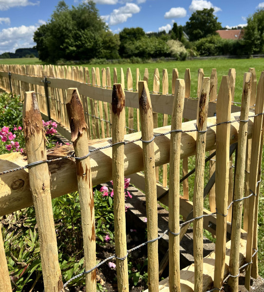 Rollenzaun Edelkastanie